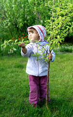 a child plants an Apple tree