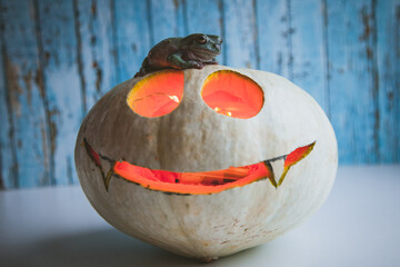 Amazing australian green frogs with Halloween pumpkin
