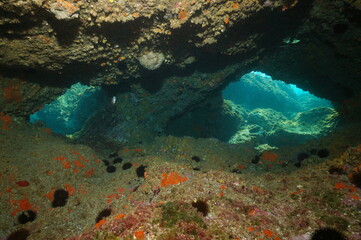 Openings inside a sea cave underwater in the Mediterranean sea, Spain, Costa Brava, Catalonia