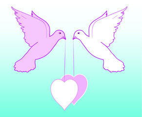 dove with heart