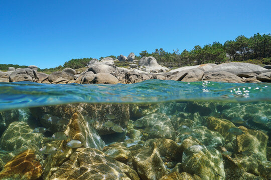 Coast with boulders and fish underwater, Atlantic ocean, Spain, Galicia, split view over-under water surface, province of Pontevedra, San Vicente do Grove