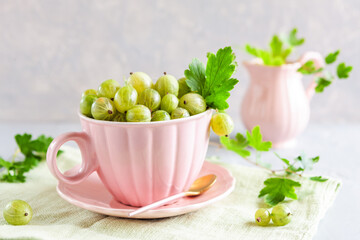 Closeup of  Fresh green gooseberries berries with leaves in a cup.