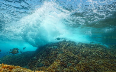 Underwater sea wave breaking on rock below water surface with some fish, Mediterranean sea