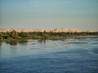 Oasis with palm trees on the bank of the Nile in Egypt, Africa