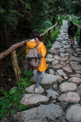 Naklejka na ściany i meble woman hiker walking by stone trail in forest in yellow raincoat