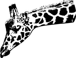 giraffe silhouette vector