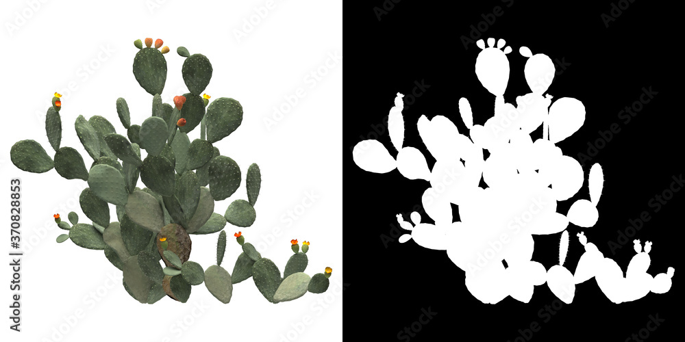 Wall mural front view of tree (opuntia ficus indica) png with alpha channel to cutout 3d rendering. for forest 