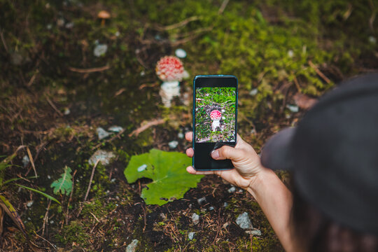 woman taking picture on phone of mushroom in forest