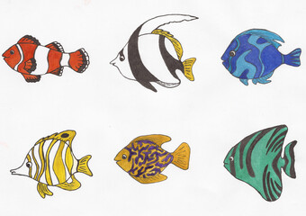 Naklejka premium Colored tropical fish set. Bright hand drawn illustration. Versatile and vibrant illusion that is suitable for printing on clothing and gift items and postcards.
