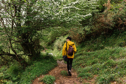 Back view of faceless female traveler with backpack walking along empty pathway surrounded by green trees on sunny day