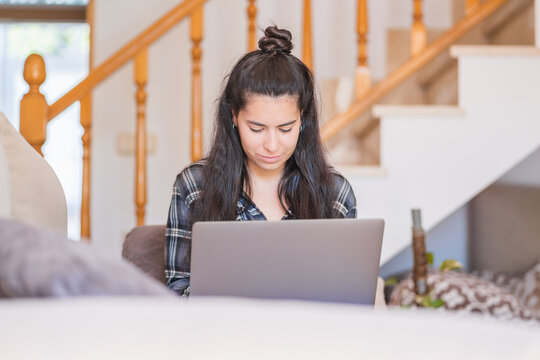 Focused young female freelancer in casual clothes sitting on sofa and working on project with laptop in cozy living room at home