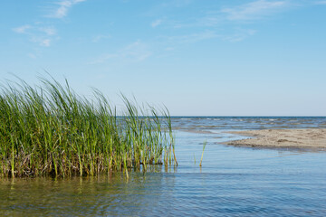 Menschenleeres Ufer mit Dünengras und Meereswellen im Hintergrund