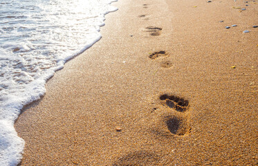female footprints on wet sand at the water's edge by the sea. natural background, copy space