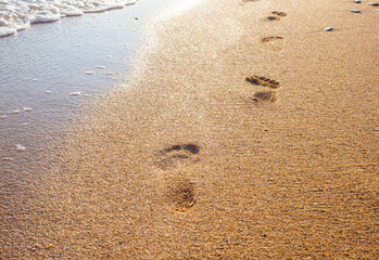 female footprints on wet sand at the water's edge by the sea. natural background, copy space