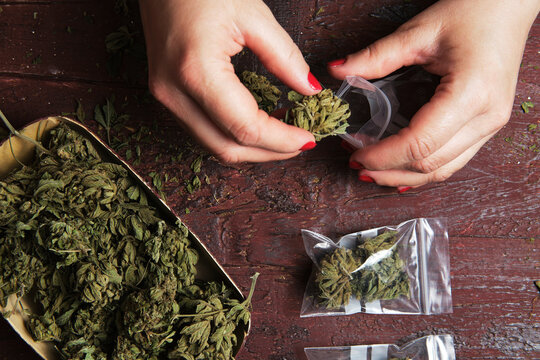 Unrecognizable female smoker making plastics bags of marijuana