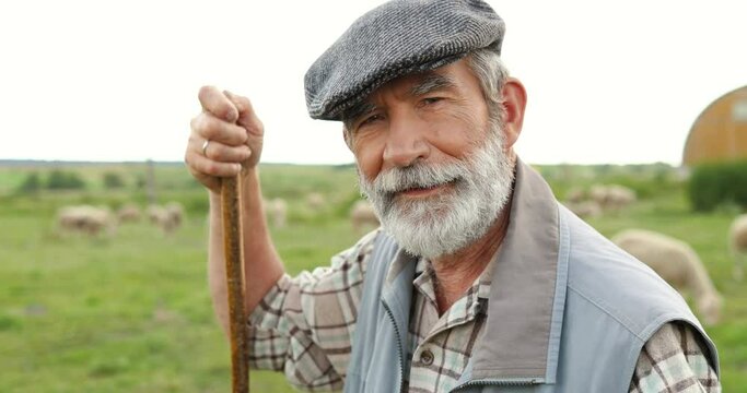 Portrait of Caucasian senior handsome man shepherd in hat standing outdoor, leaning on stick, looking at side and turning to camera. Old male farmer at his land. Dolly shot. Close up.