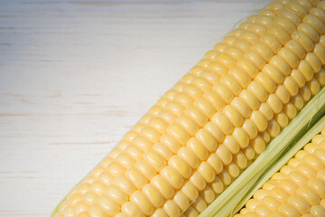 Ripe sweet corn on the cob on a white wooden background. Close-up of popular crops.