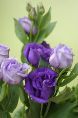 Obraz premium Beautiful bouquet of purple flowers on a green background. Flower arrangement for your beloved.