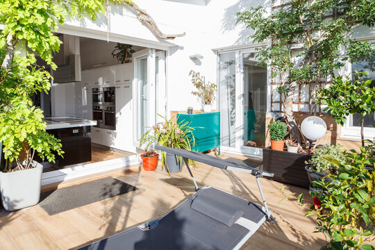 Cozy terrace with modern deck chair and green plants in flowerpots on sunny day