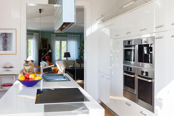 Interior of contemporary kitchen with high tech furniture and appliances in apartment during daytime
