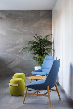 Modern bright interior with high ceilings furnished with design lamps, chairs, stools and a plant. Light coming from windows