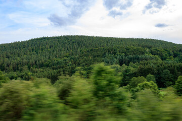 green forest in the mountains in motion with blurred foreground in Odenwald forest