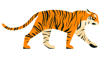 Isolated on white walking tiger in side view vector illustration. Big tropical cat design element. African feline in flat cartoon style.