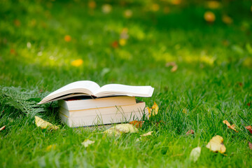 stack of books on the green grass in autumn