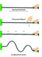 physics. spring stretched. transverse waves. longitudinal. The difference between throwing and periodic wave formation. longitudinal wave generation. periodically generated transverse waves