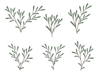 Set of green branches with leaves flat vector illustration on white background