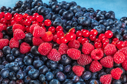 Fresh blueberries, redcurrants and raspberries texture