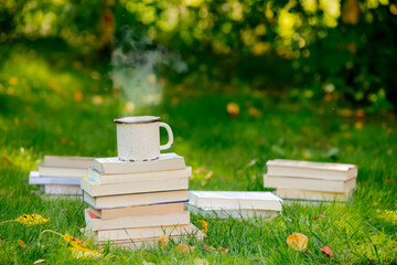 stack of books and a Cup of coffee on the green grass in autumn