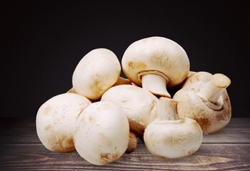 Mushroom.