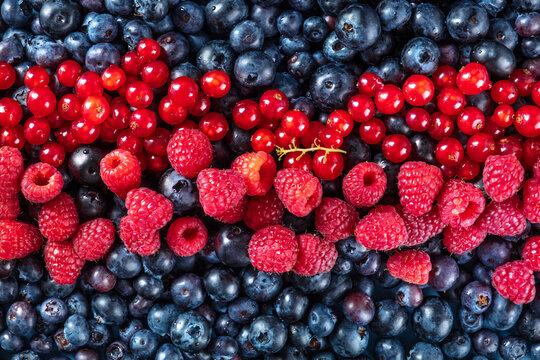 Fresh blueberries, red currants and raspberries texture, shot from the top