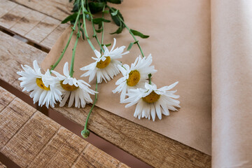 Fototapeta na wymiar white flowers on a wooden table with a roll of craft paper with a white background in the interior, chamomile