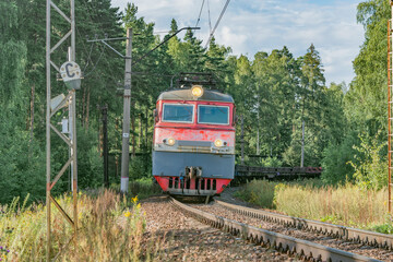 Naklejka premium Freight train moves by the forest at summer day time.