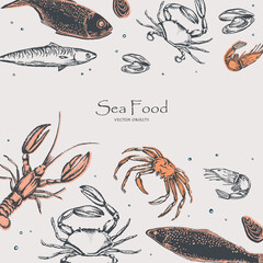 Inhabitants of the oceans and seas: sea fish, crab, shrimps and mussels. See food. Chalk style vector objects set