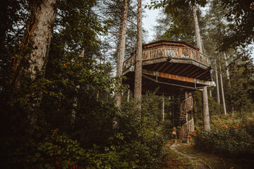 Huge wooden house placed between pine trees above ground in woods in Biscay