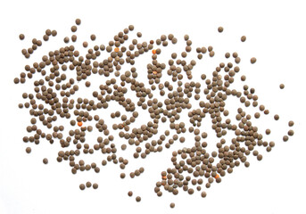 Fototapeta premium Lentils isolated on white background . bean. soy