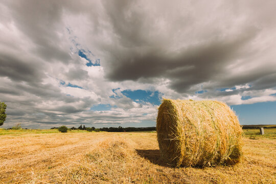Low angle of dried haystack rolled and placed on dry agricultural field against cloudy sky in sunny weather