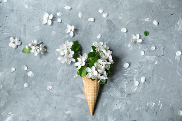 Flat lay of waffle sweet ice cream cone with white Apple blossoms on a textured gray background. Top view. Spring or summer mood concept