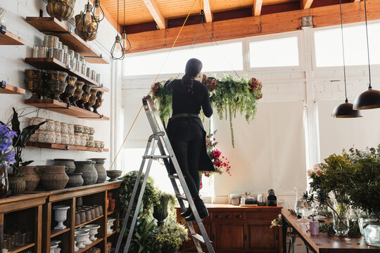 Back view of unrecognizable female florist standing on ladder and arranging composition of green decorative hanging plants while working in cozy floristry salon
