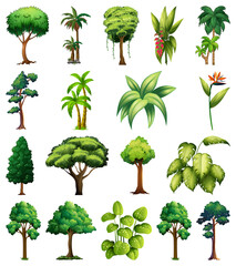 Fototapeta premium Set of variety plants and trees