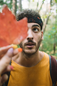 Young ethnic male hiker with headband and face half covered with red tree leaf held by anonymous person looking away while standing against blurred nature background in Algonquin Provincial Park in Canada
