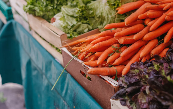 Assorted vegetables in wooden boxes placed on counter in grocery market during daytime
