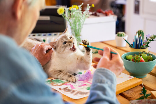 Senior Man Feeding Paintbrush To Cat On Table At Home