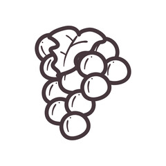 grapes line style icon vector design