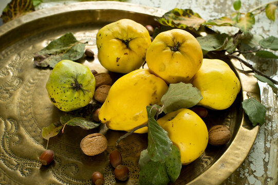 Metal tray with hazelnuts, walnuts and fresh quinces (Cydonia oblonga)