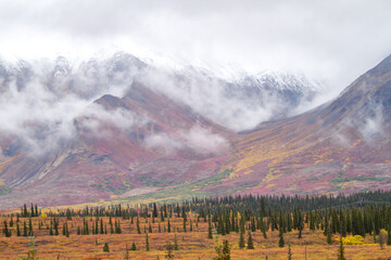 Autumn colored brush on the tundra with first snow in the hills near Denali National Park, Alaska