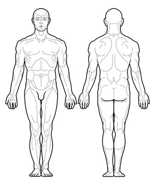 Chinese acupuncture points scheme black and white vector illustration